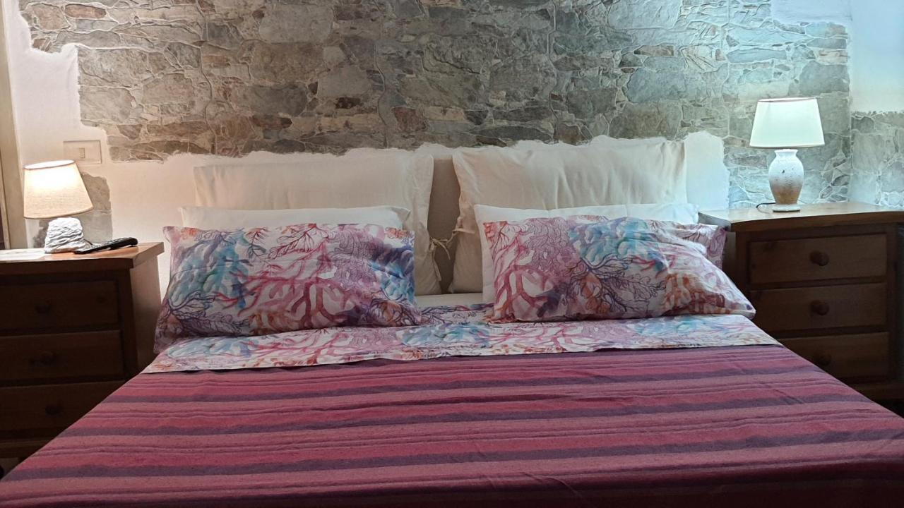 B&B Tenuta Di Vado Piano Nella Selva Di Circe Cerasella 외부 사진