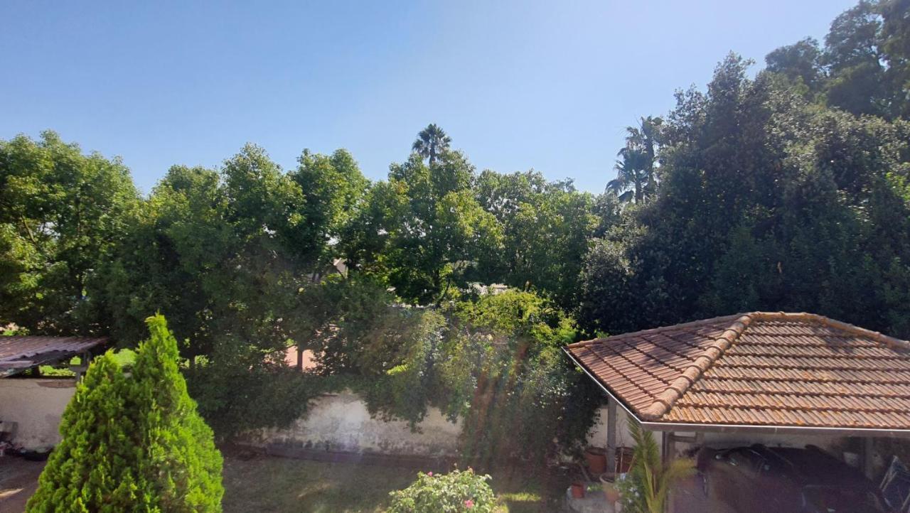 B&B Tenuta Di Vado Piano Nella Selva Di Circe Cerasella 외부 사진